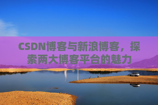 CSDN博客与新浪博客,探索两大博客平台的魅力